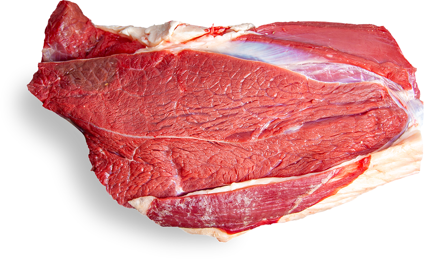 Product Presentation